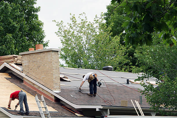 Best Emergency Roof Repair  in Springfield, KY