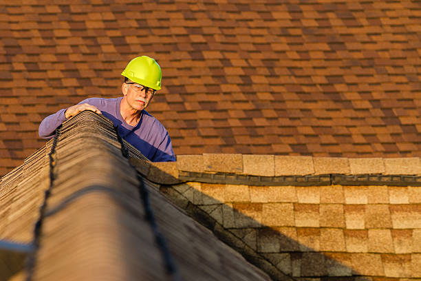 Best Local Roofing Companies  in Springfield, KY