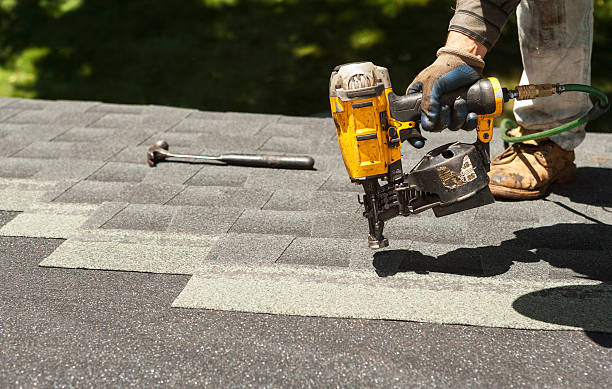 Best Metal Roofing Contractor  in Springfield, KY